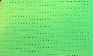 XII XV Brand - Waist Trainers Green apple